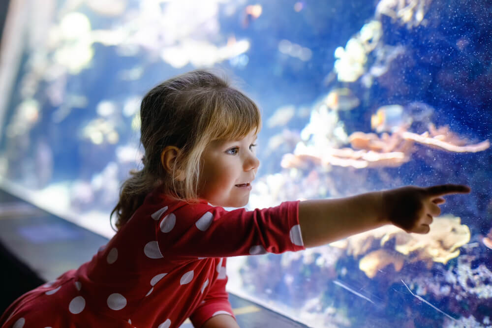 Young girl pointing at fish at the Alabama Aquarium