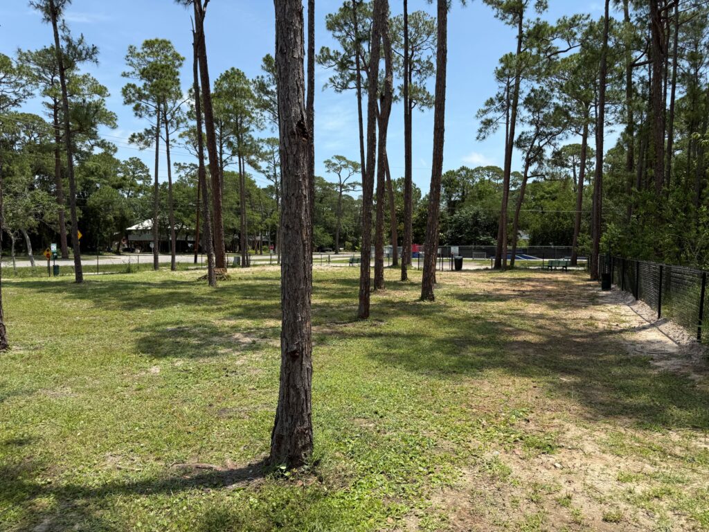 Dog park on Dauphin Island