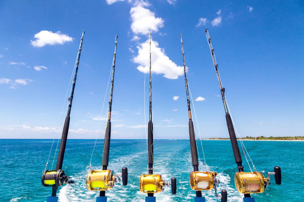 5 fishing rods on the back of a boat during Dauphin Island fishing rodeo